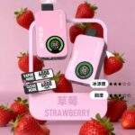 SP2S拋棄式12000口一次性電子煙 | 有煙無煙雙模式 · 多種口味：圖片 3